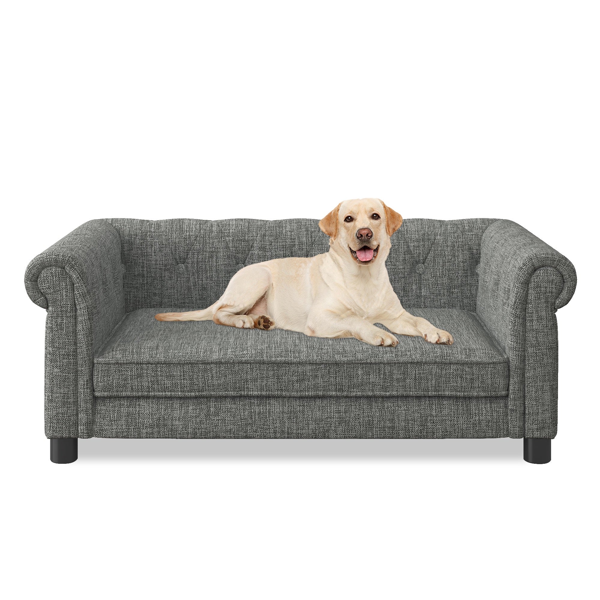Elevated Dog Sofa Bed - Supportive Foam Couch with Backrest for Medium & Large Dogs